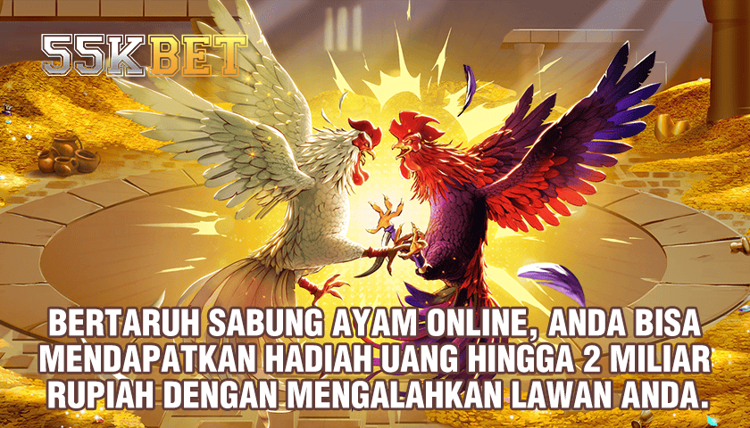 BARDI4D LOGIN - Situs Belajar Ilmu Coding Web Desn,